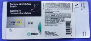 More Information on Small Labels