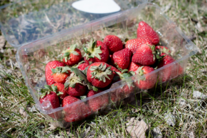 Labels for Clamshell Packaging
