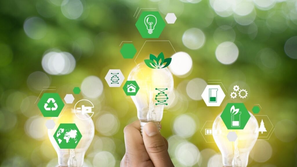 Sustainable Labeling Solutions: Trends and Materials for Eco-conscious Brands