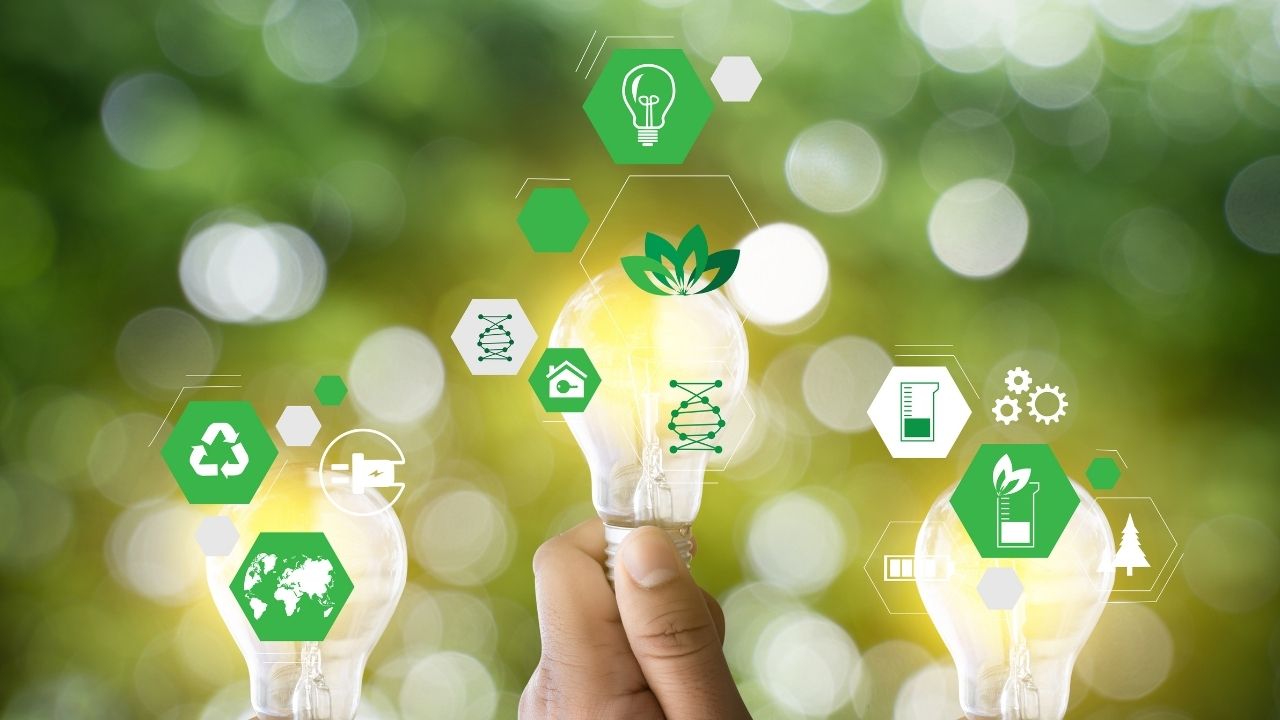 Sustainable Labeling Solutions: Trends and Materials for Eco-conscious Brands